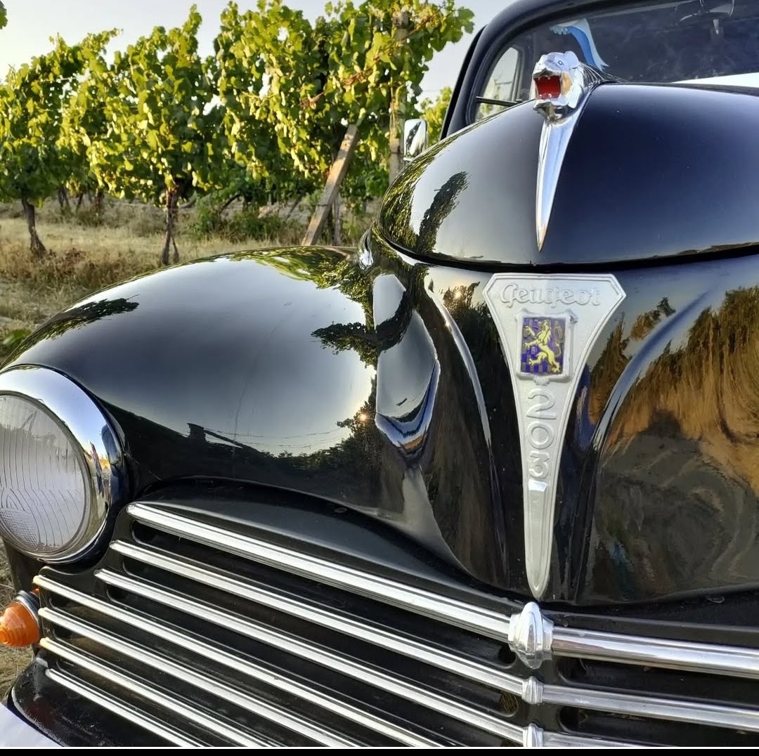 Predám Peugeot 203 - 3