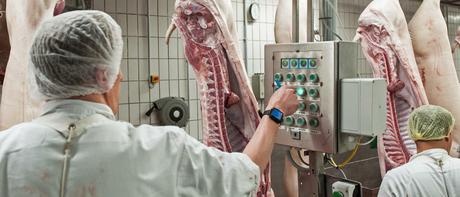 přijmeme ihned dělnice/dělníky do Jatek+Masokombinátů - 3