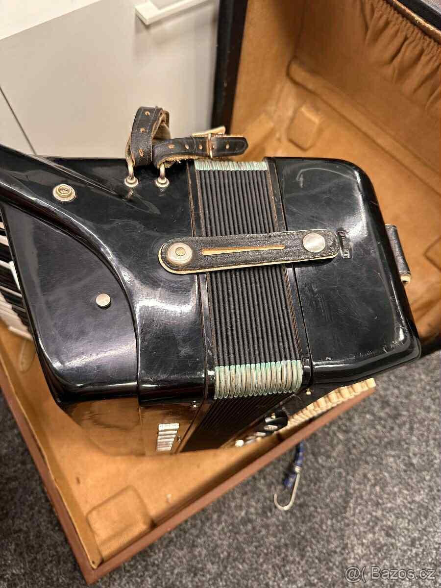 Delicia Carmen V - 3