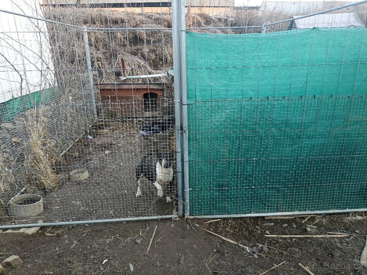 Kotec, výběh, ohrádka - 3