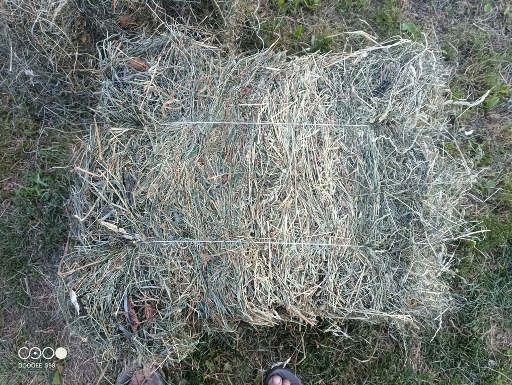 Ruční lis na seno a slámu na hranaté balíky - 3