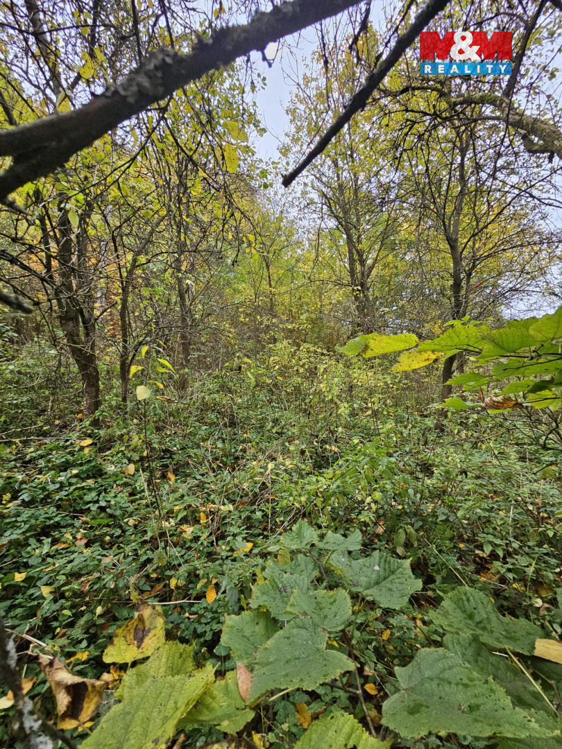 Prodej louky, 1687 m², Hynčina - 3