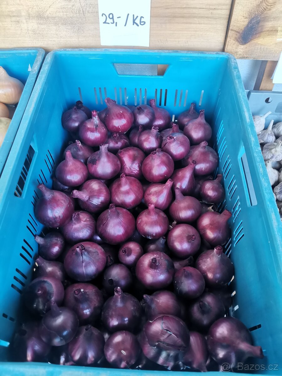 Česnek a Cibule z naší zahrady - 3