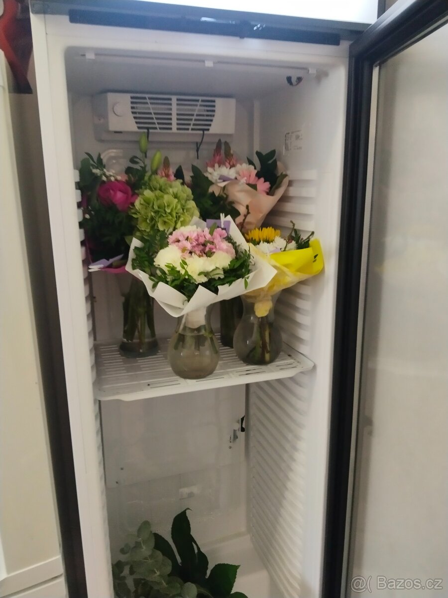 Prosklená lednice - 3