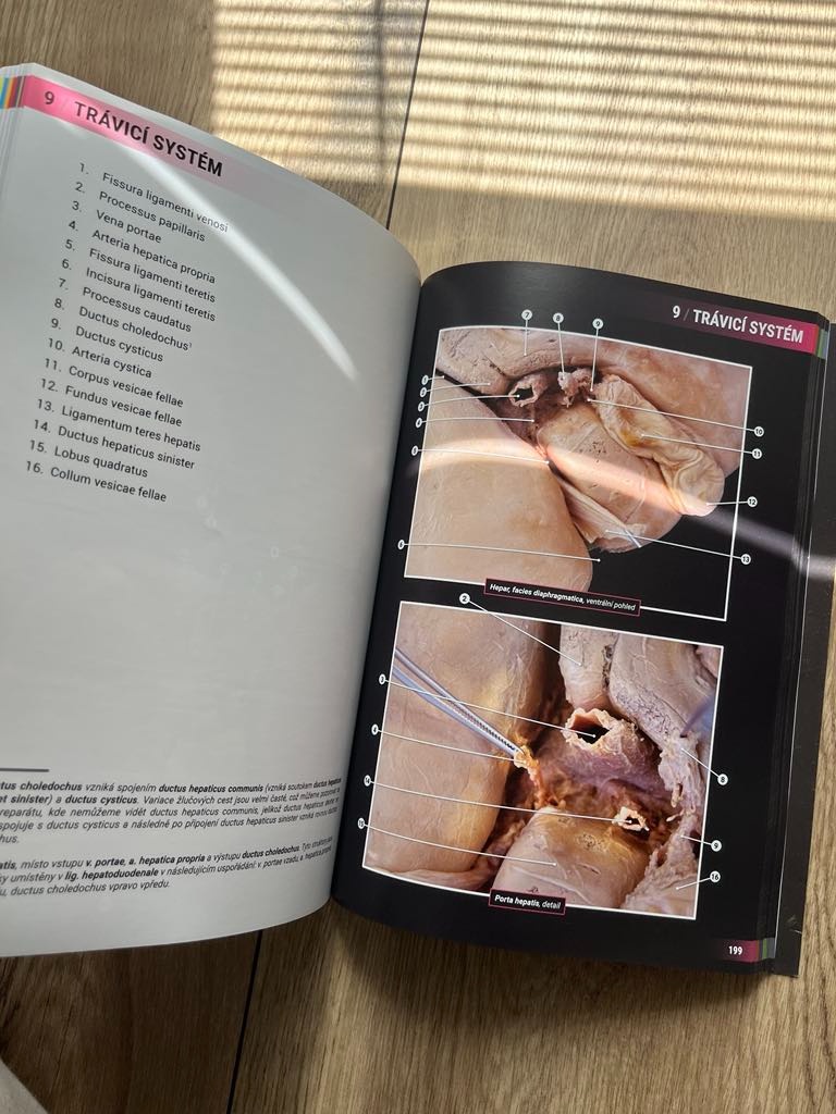 Atlas vybraných kapitol anatomie člověka - 3