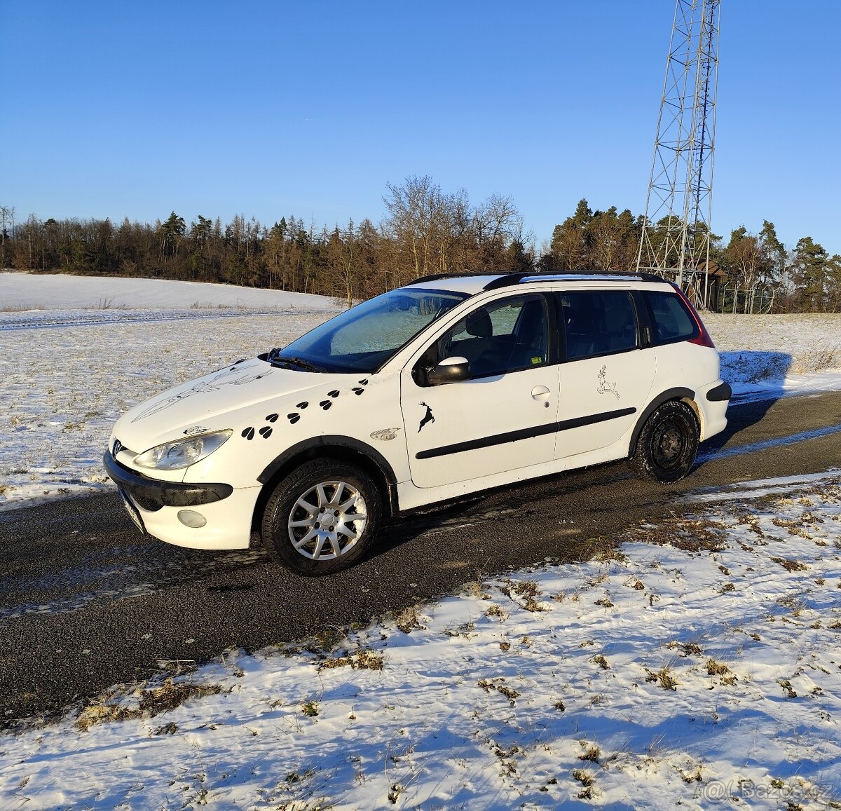 Peugeot 206 SW - 3