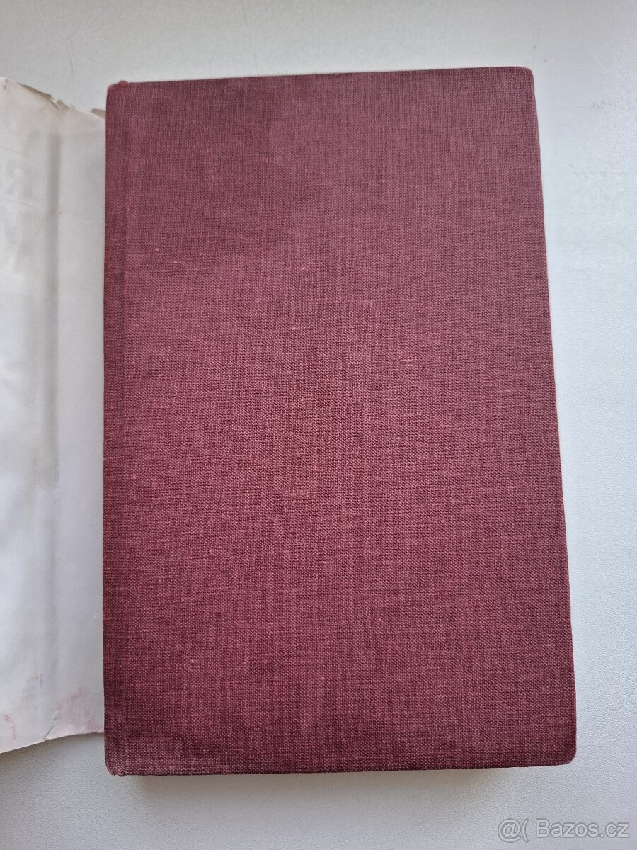 Kniha Radek John Memento - 3