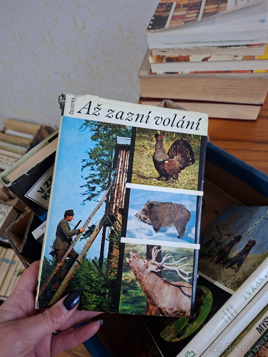Myslivost - 3