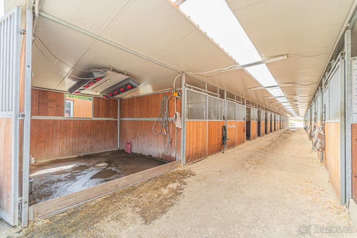 Ustájení koní – Telce u Peruce - 3