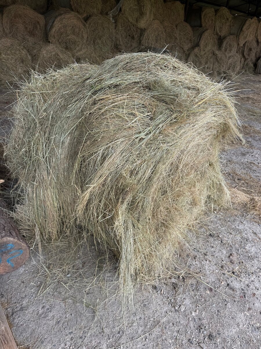 Prodám seno - 3
