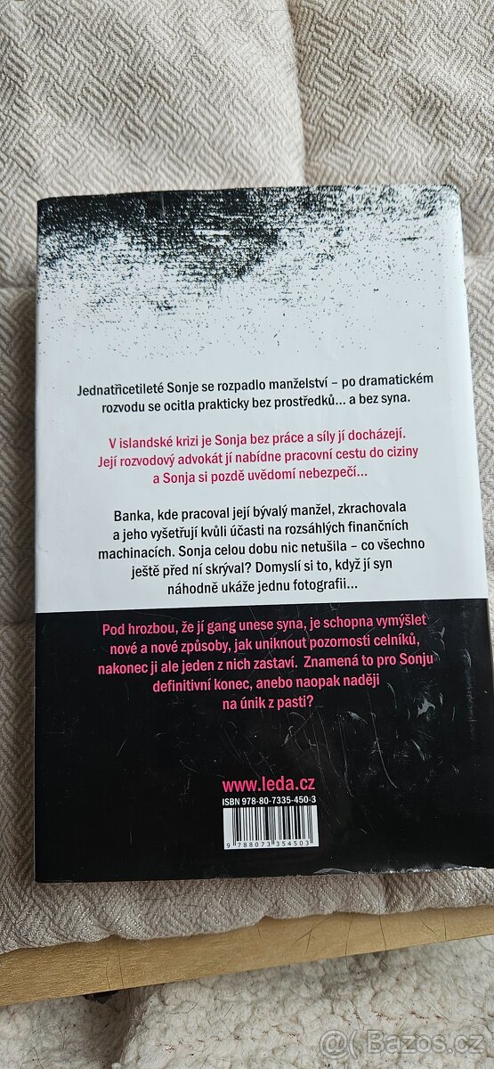 V pasti - Lilja Sigurdardóttir - 3