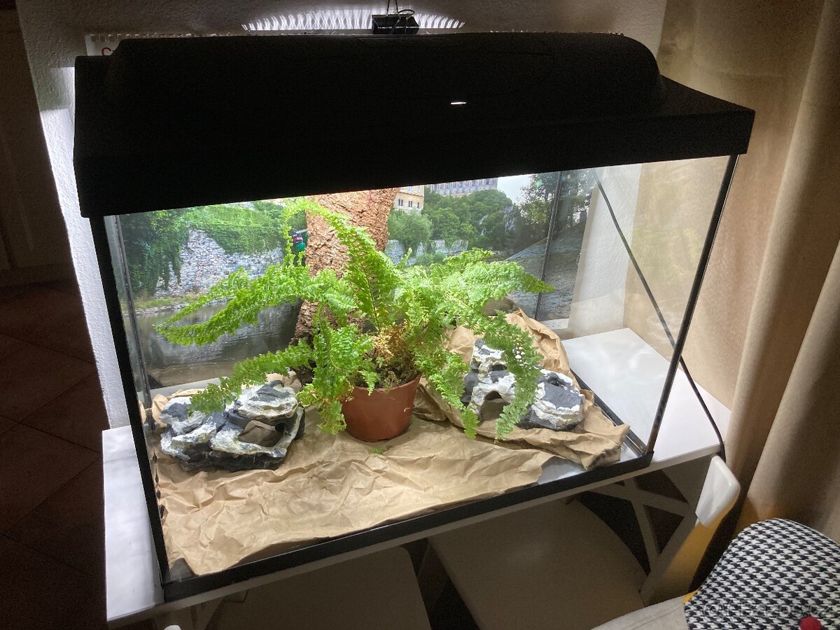 Akvárium 80 l s krytem a světlem - 3