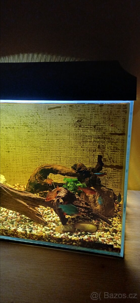 Zařízené akvárium - 3