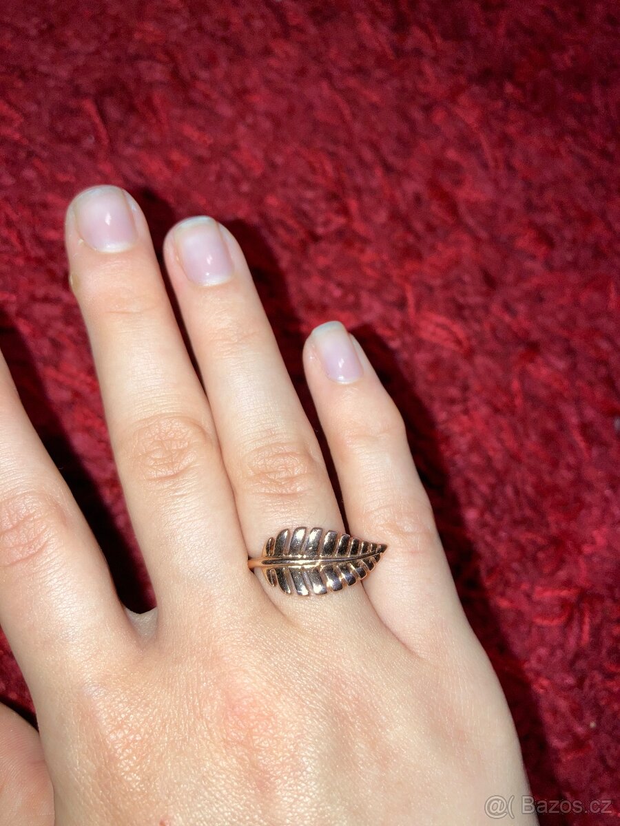 Prsten RSG Pierre Lang - 3