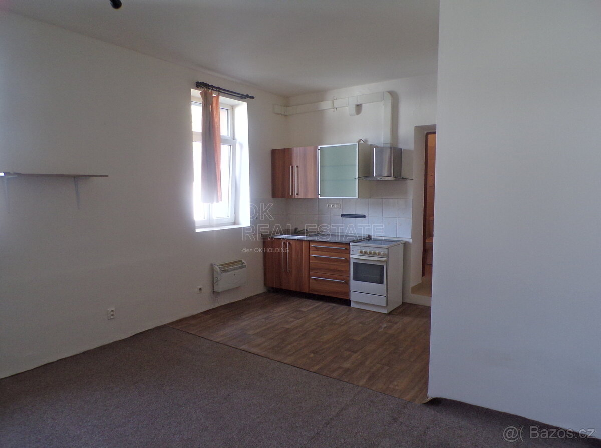 Pronájem 1+kk 30 m2, v Novém Boru - 3