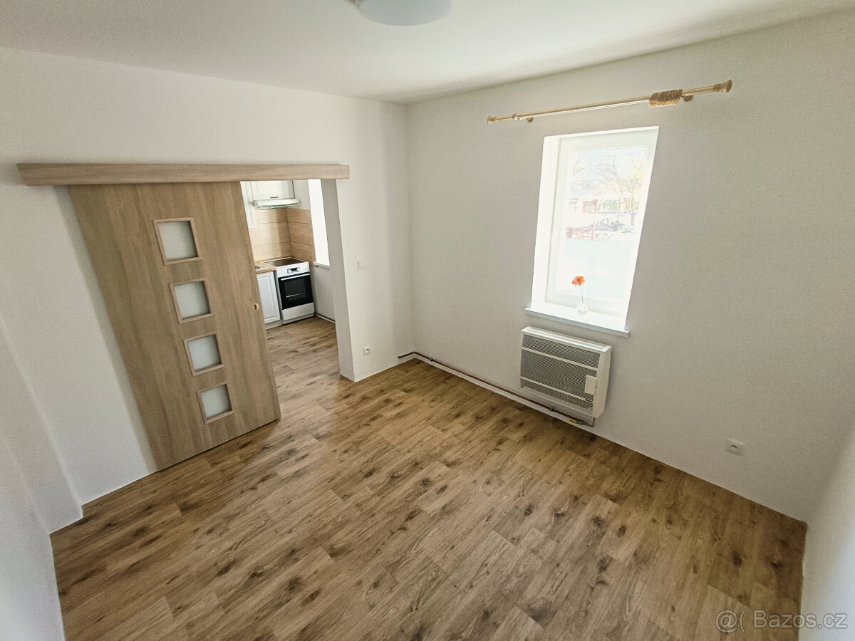 Pronájem bytu 2+1 se zahradou - 3