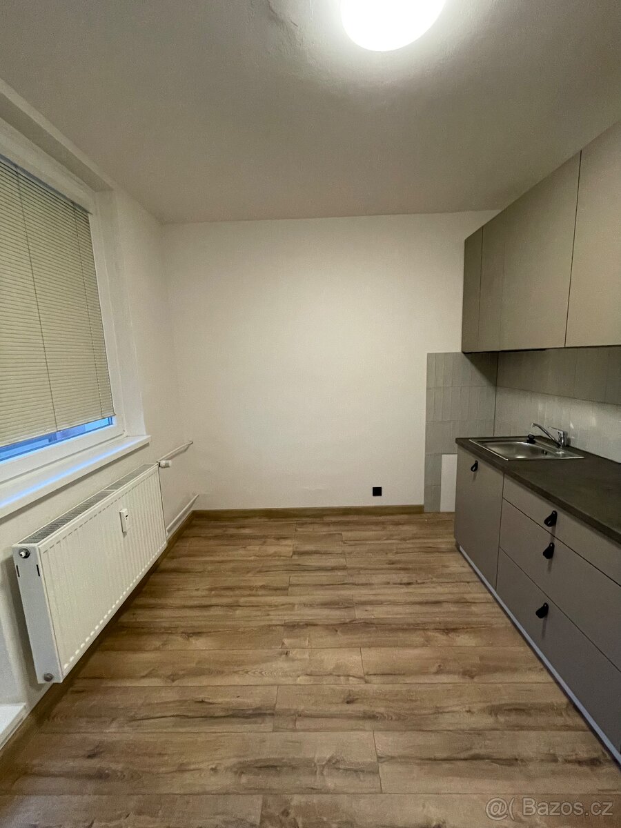 Byt ŽIDLOCHOVICE 1+1 - 3