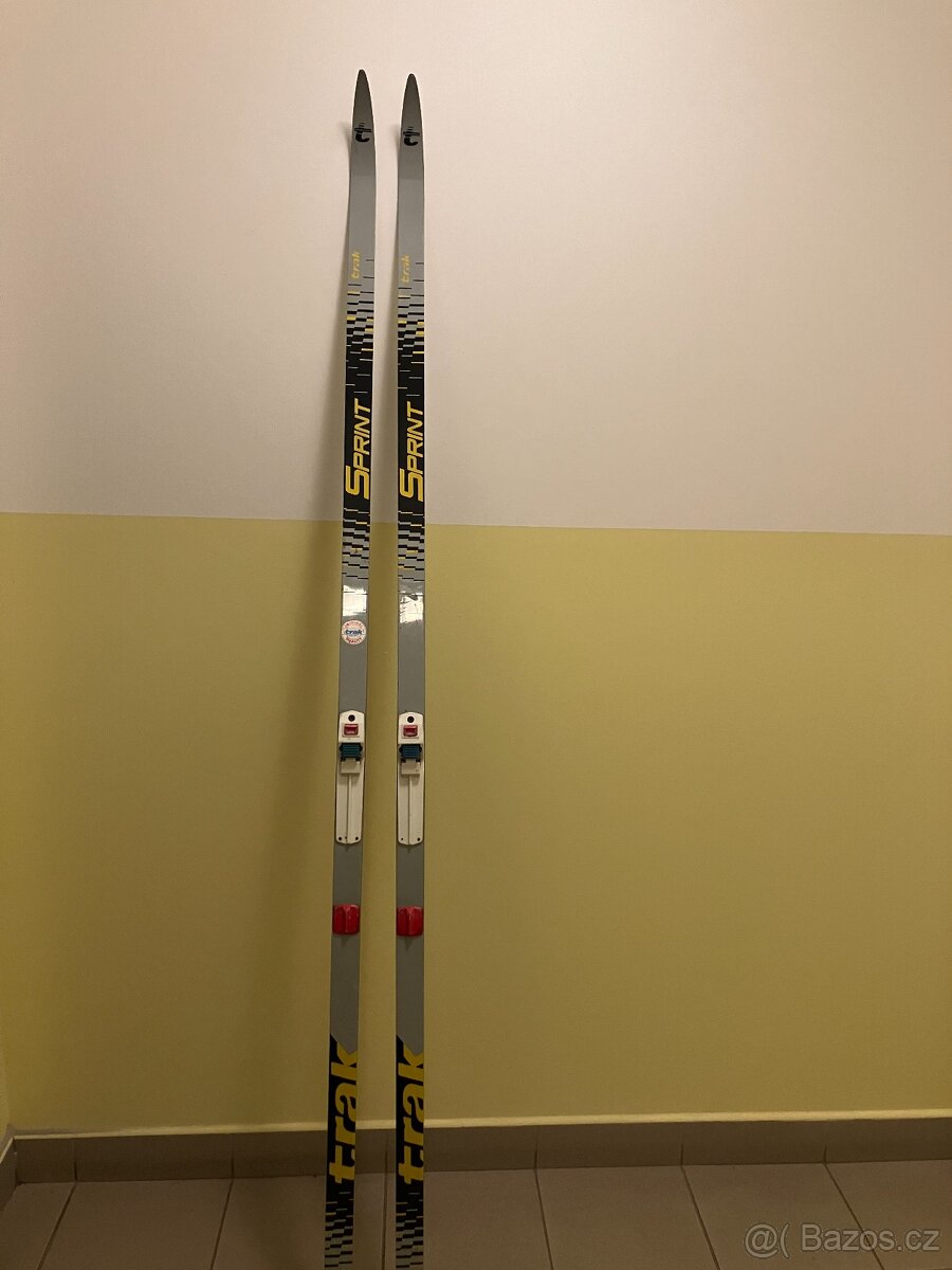 Lyže šupina + boty - 3