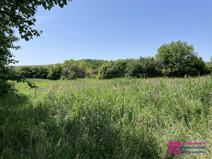 Prodej stavebního pozemku, 7 284 m², Diváky, ev.č. 00112 - 3