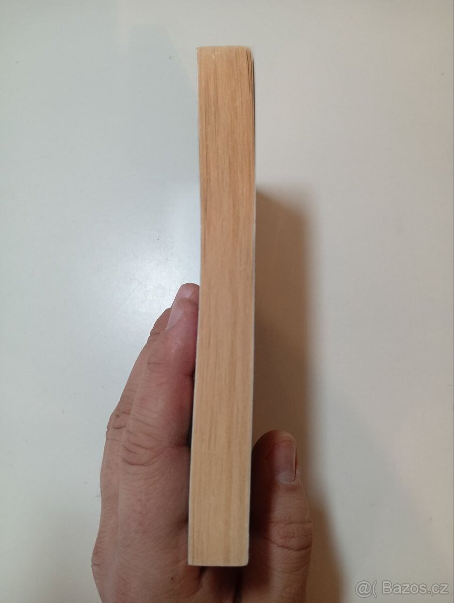 WarCraft 2. - Vládce klanů - Christie Golden - 3