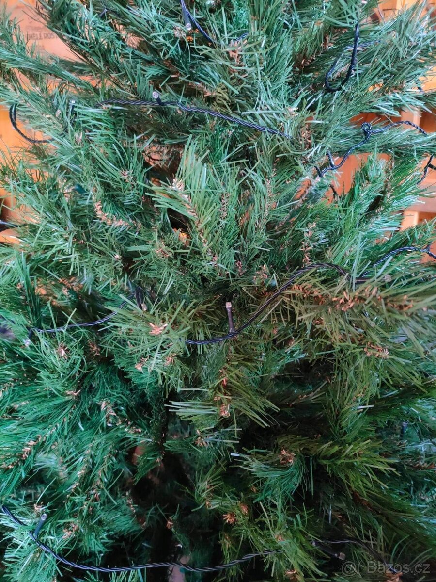 Prodám vánoční stromek - 3