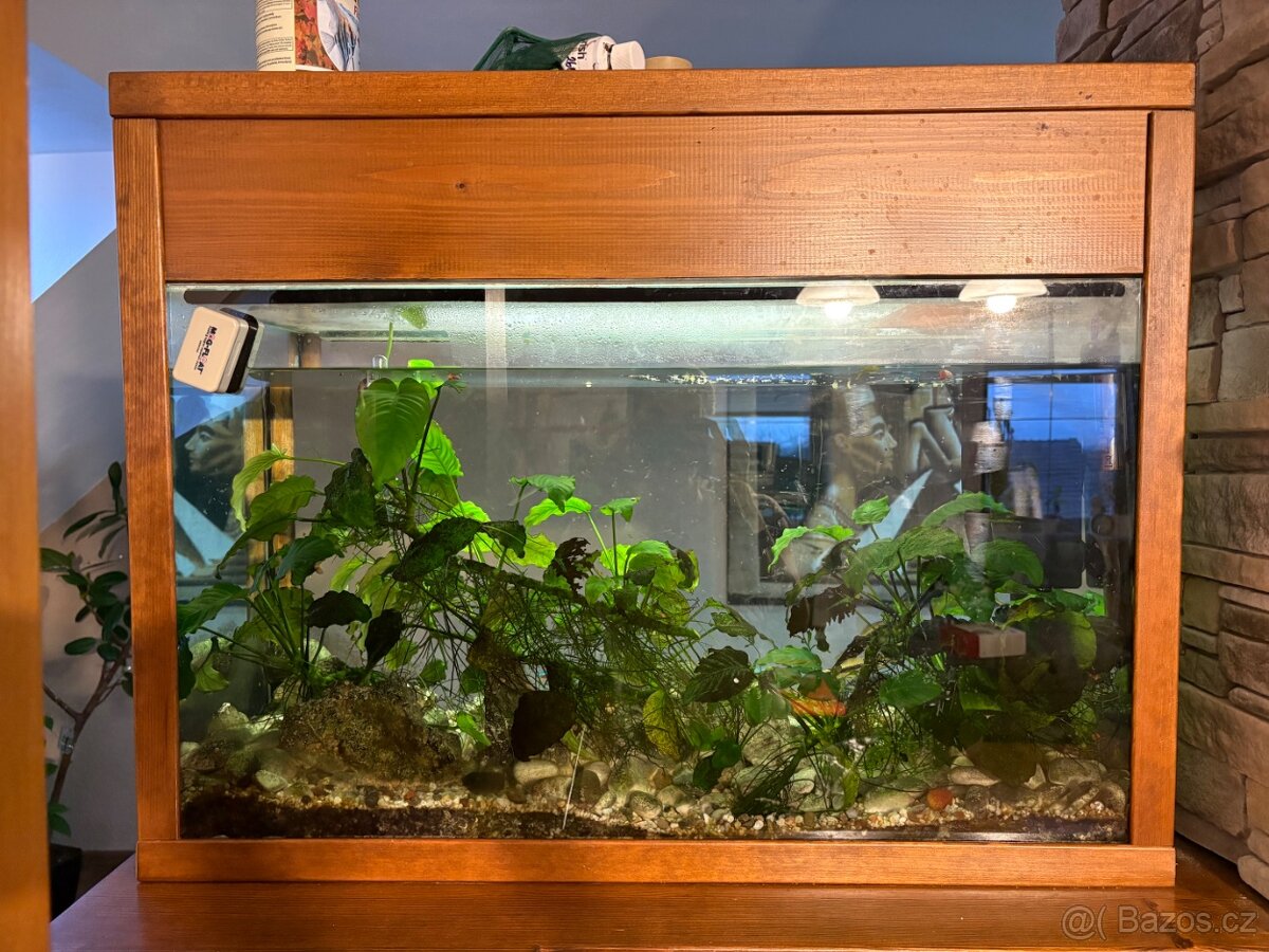 Akvárium s rámem - 3