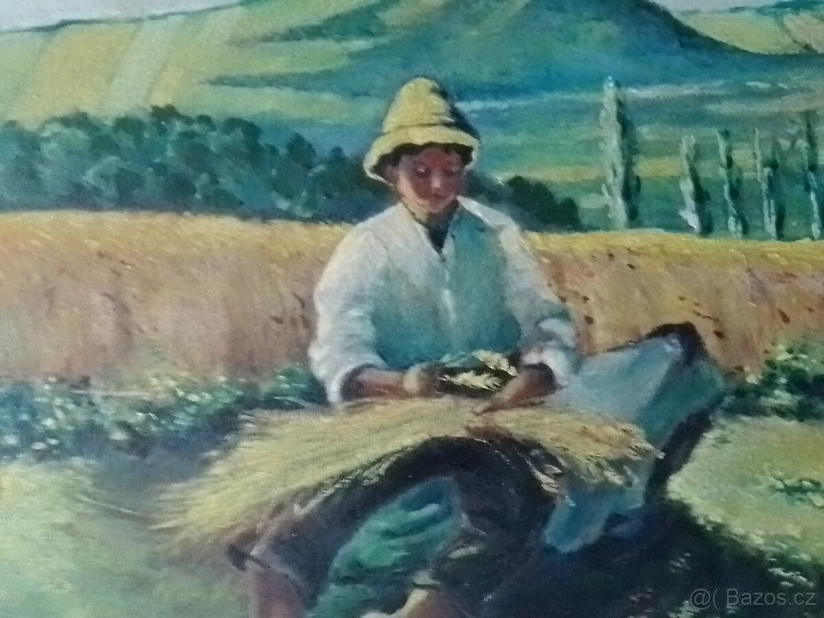 Chlapec ve Žních. Neznámý autor. Olej/plátno-rám. - 3