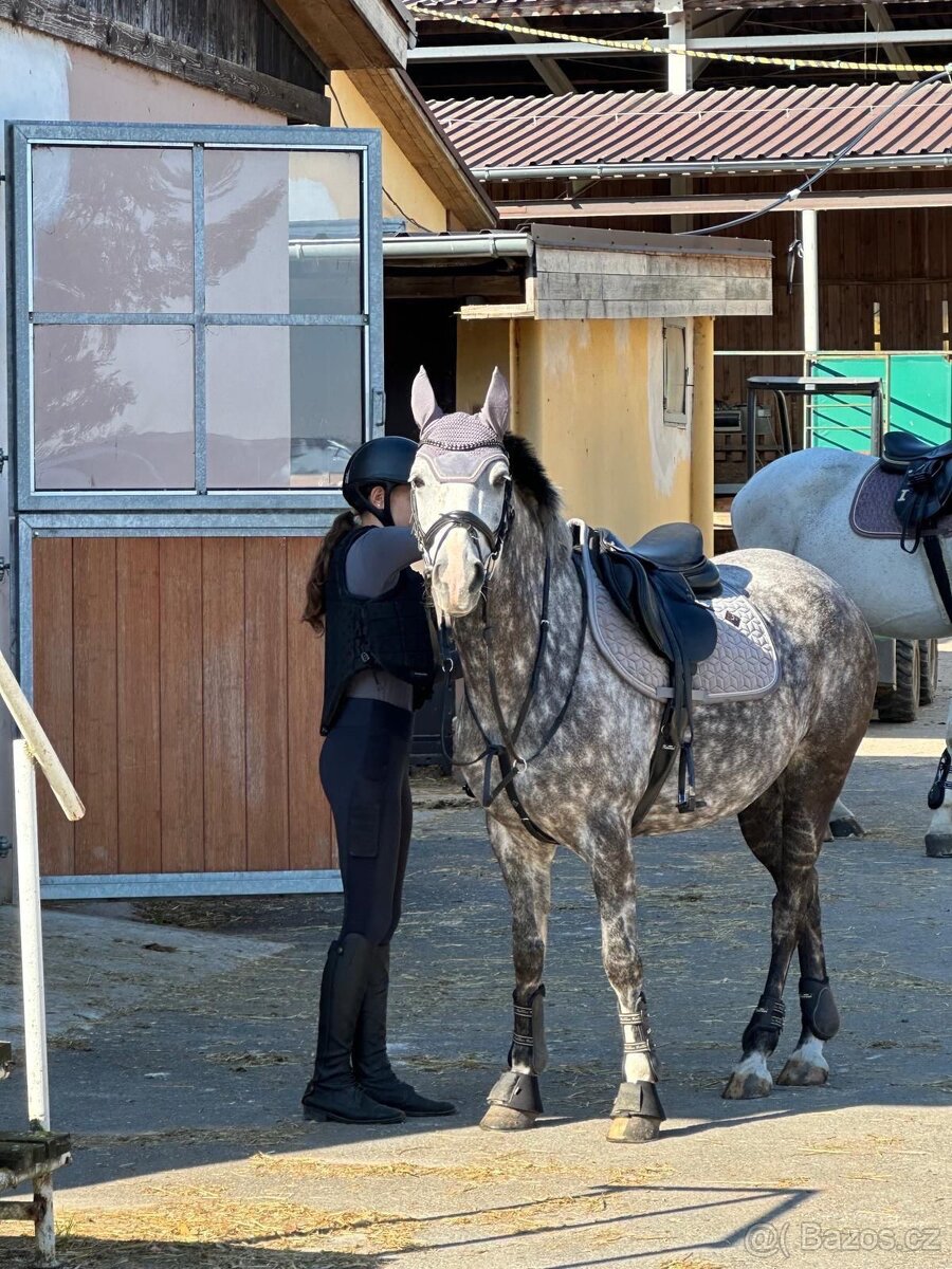 ⭐️ Krásný valášek na prodej ⭐️ - 3