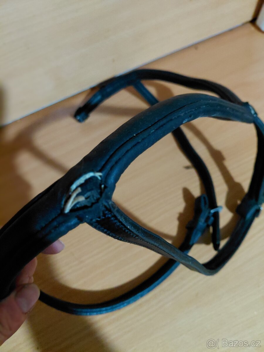 Anatomický nánosňík - 3