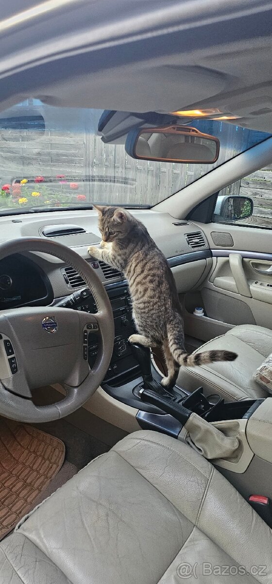 Volvo S80 D5 2005 - 3