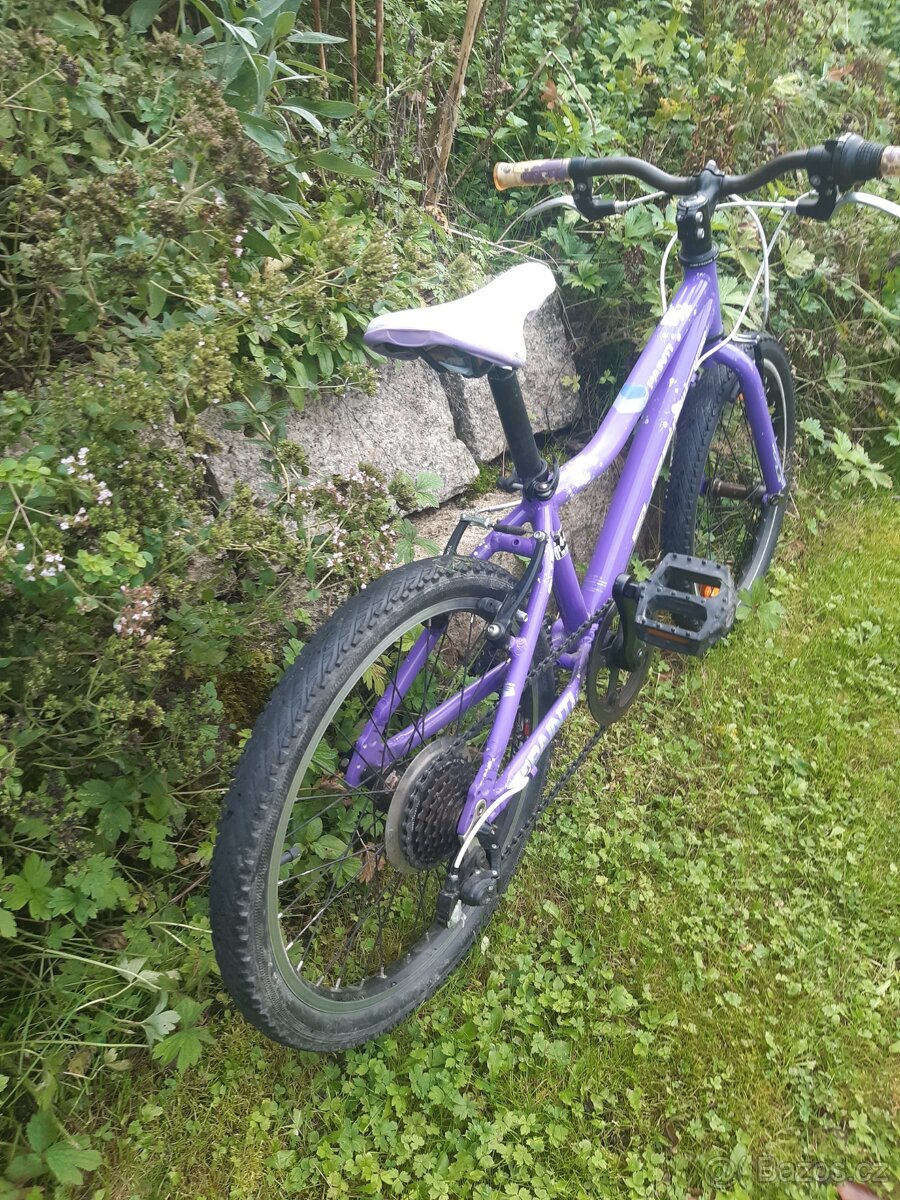 Kolo superior paint 20 - 3