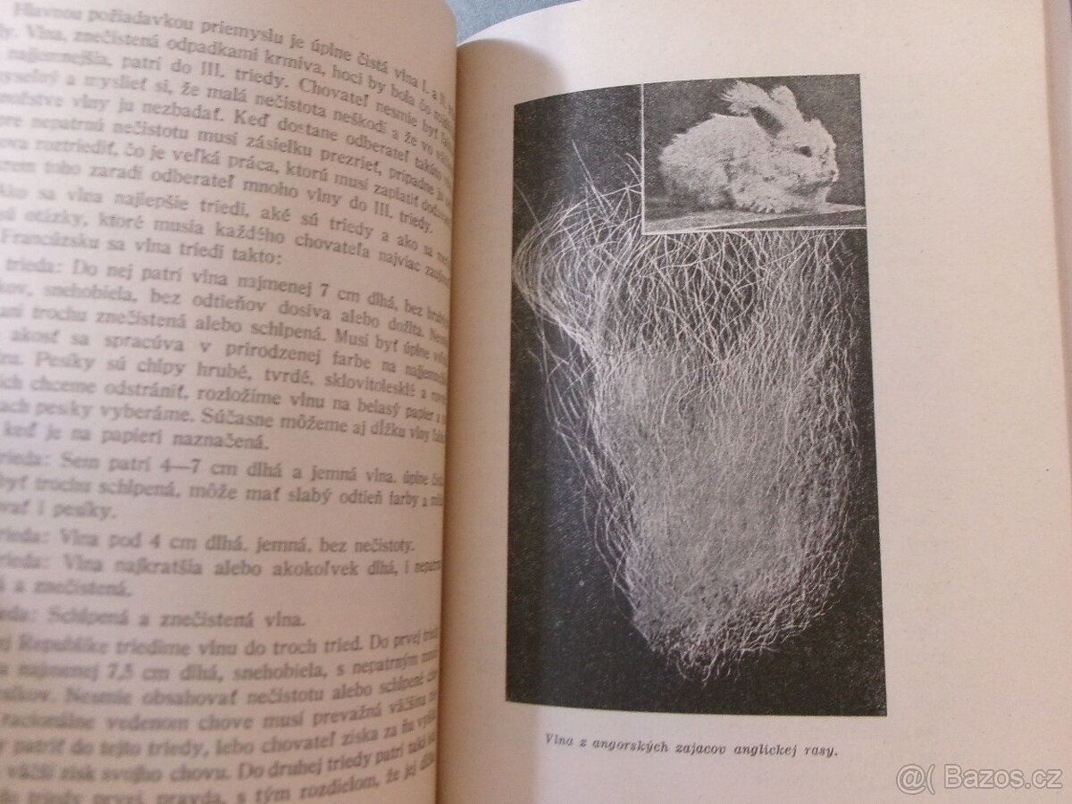 Chov angorských zajacov - Jožo Hiľovský. - 3