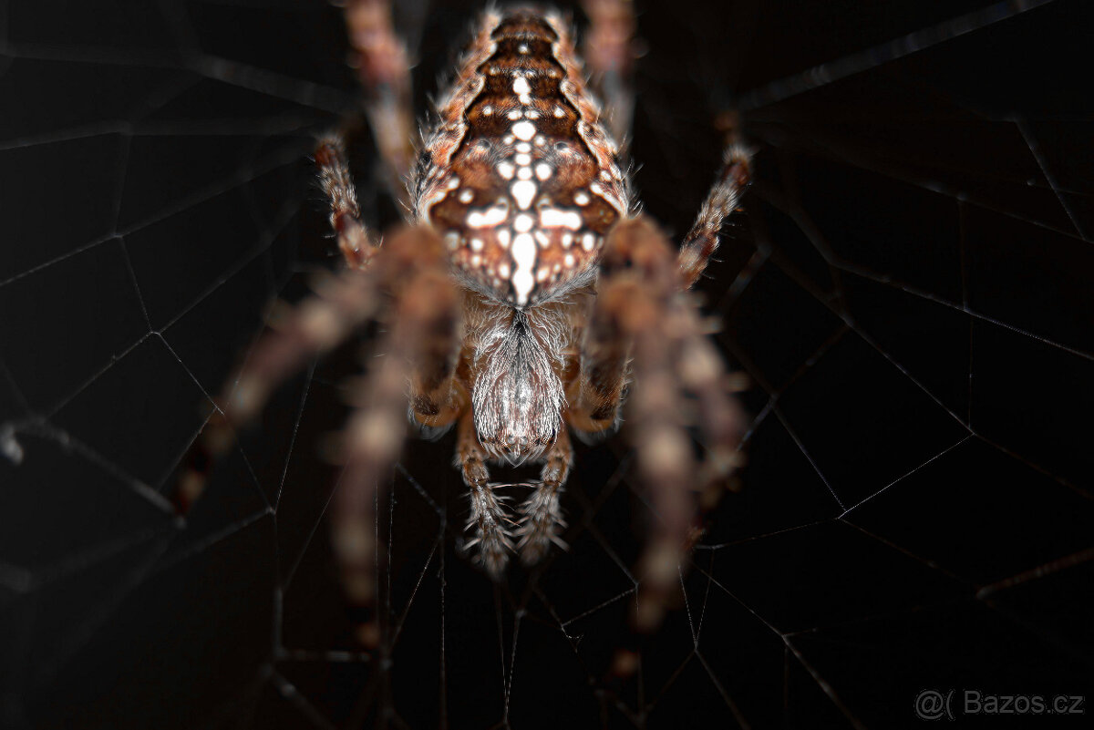 Objektiv Sigma 150/f2.8 APO Macro DG EX pro Sony/Minolta A - 3