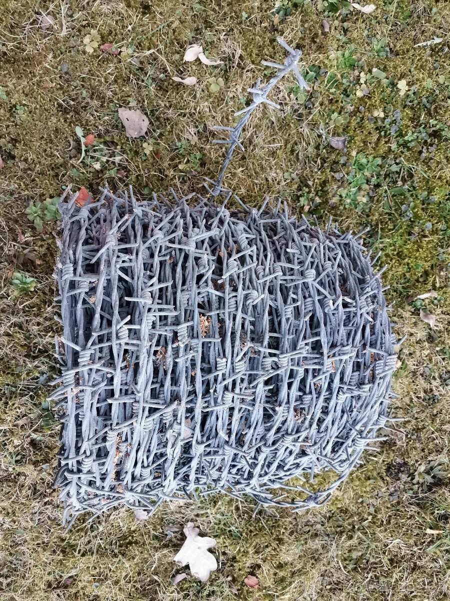 Ostnatý drát - 3