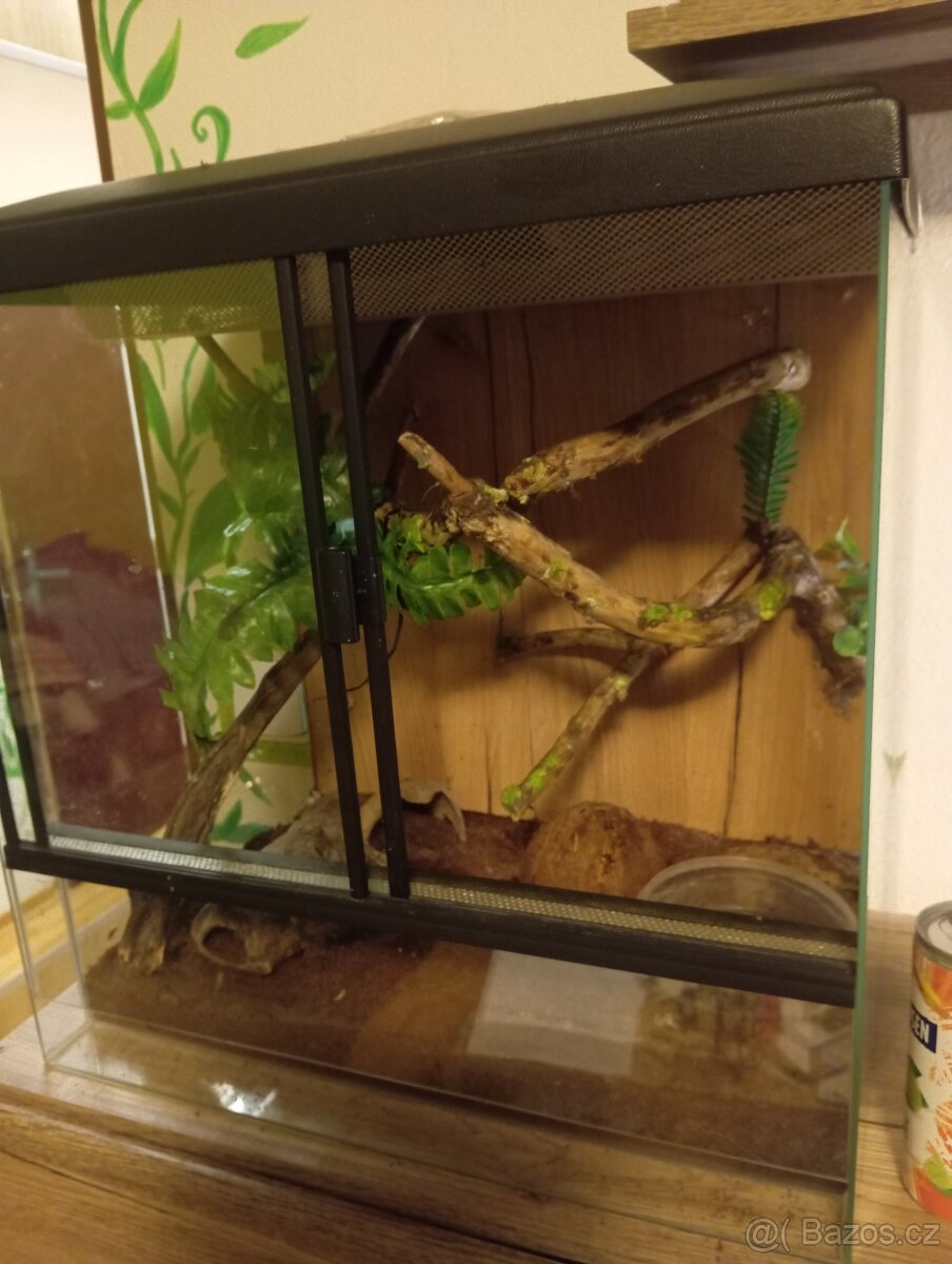 Terarium 45x45x32 - 3