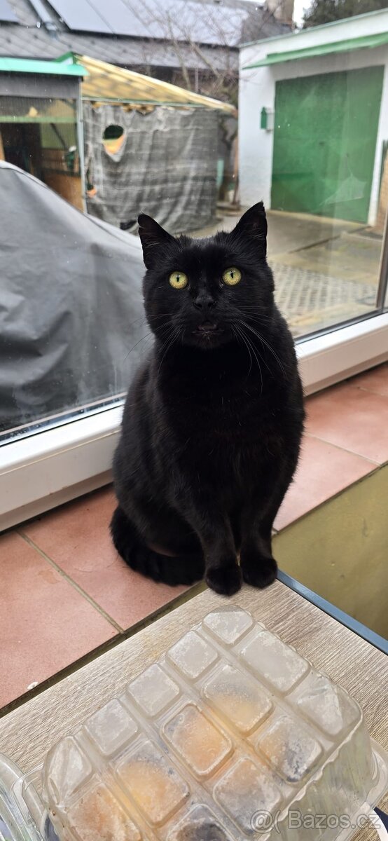 Osiřelý Čertík - 3