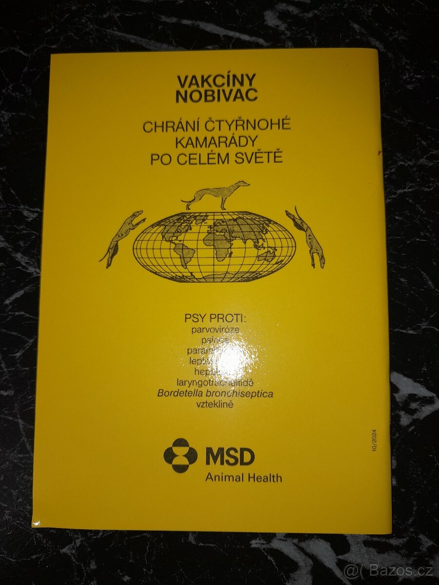 Jezevčík trpasličí - 3