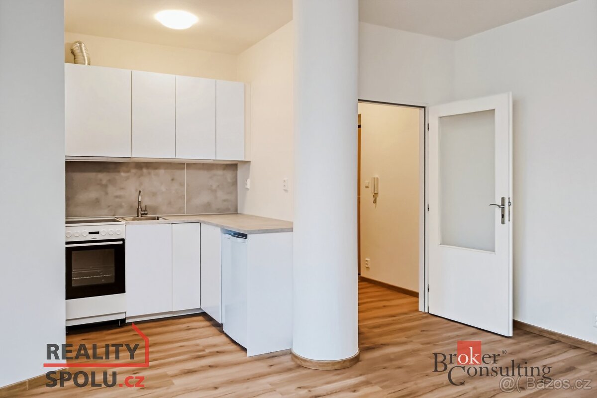 Pronájem, byty/1+kk, 53 m2, Trnkovo náměstí 1112/2, Hlubočep - 3