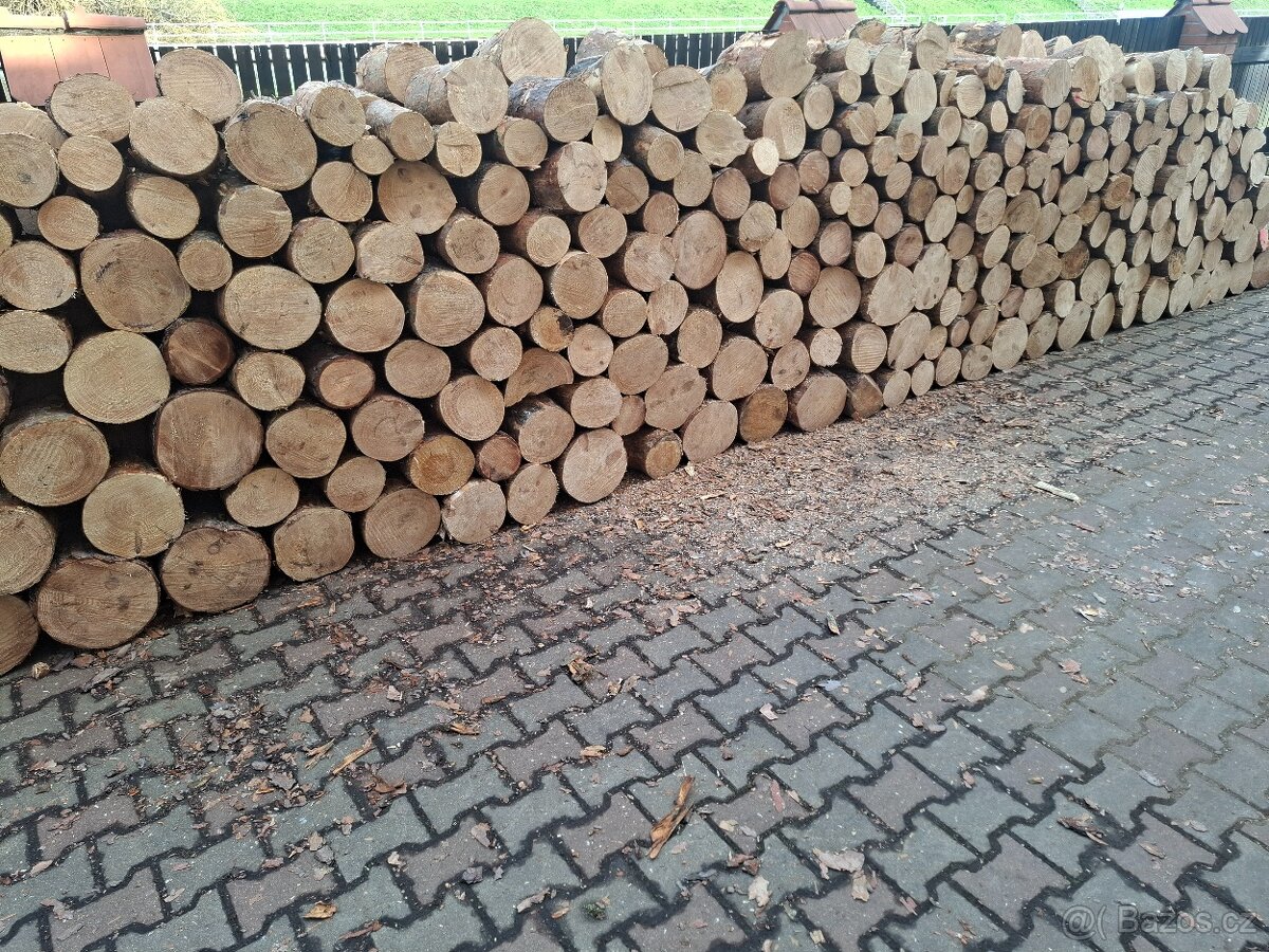 Palivové dřevo - 3