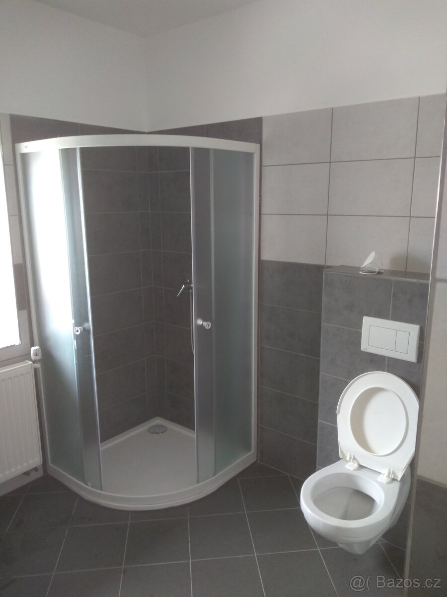 Pronájem bytu 1+kk - 3