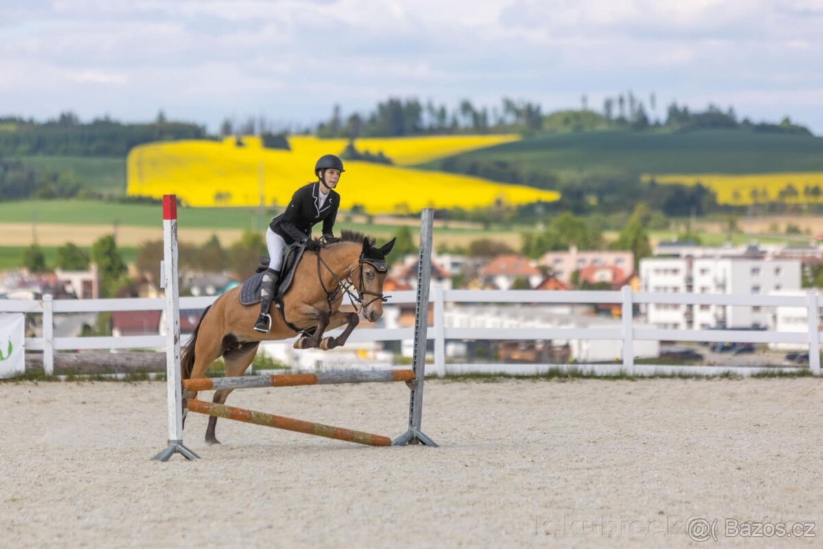 pony klisna - 3