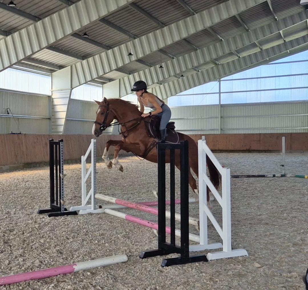 Šikovný mladý valach ČT - 3