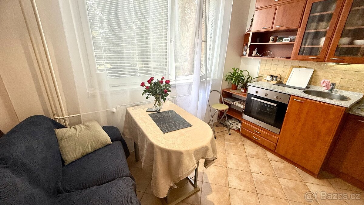 Prodej, byt, 1+1, 33 m², Telečská, Jihlava - 3