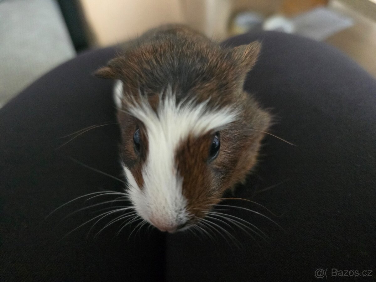 Daruji 4 týdny kluk morce - 3