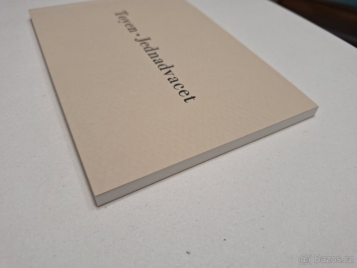 Toyen - Jednadvacet - 2017 - 3
