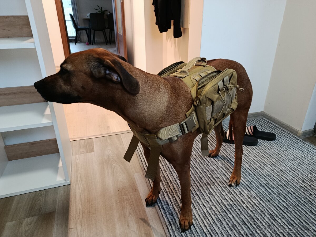 Batoh / kapsy pro psa - 3