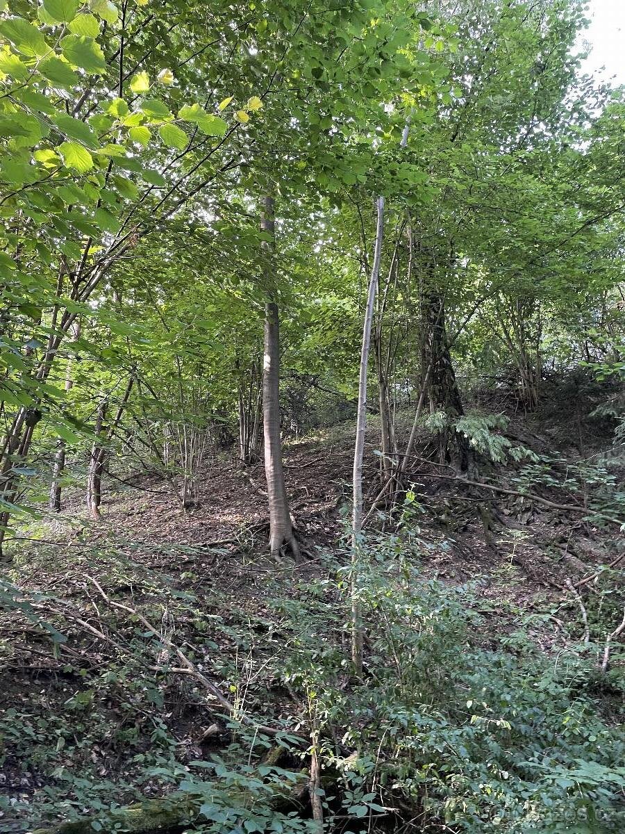 Prodám pozemky v k.ú. Útěchov u Moravské Třebové - 3