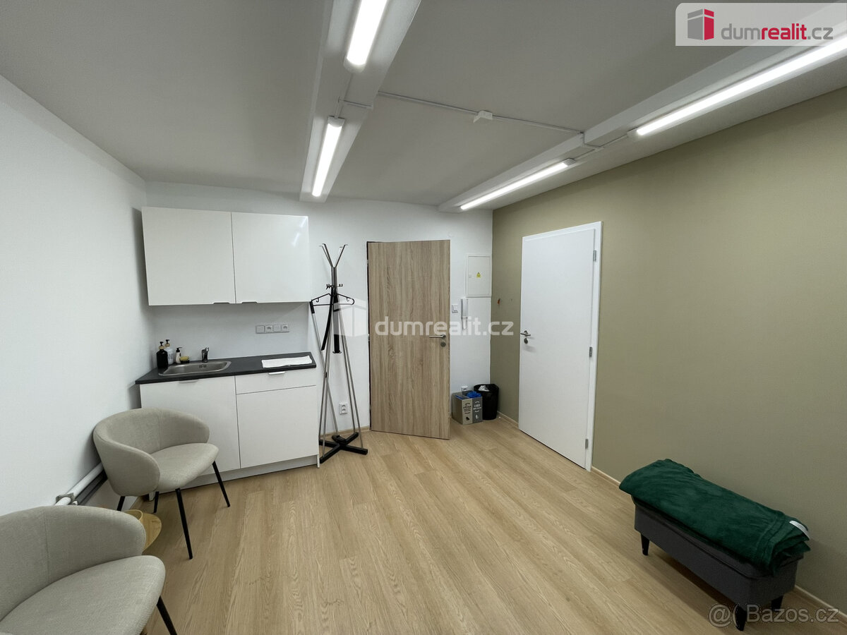 Pronájem nebytových prostor 30 m2 - 3