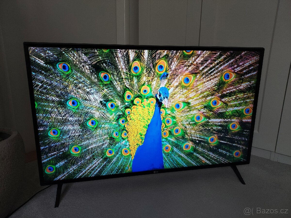 49"(125cm) 4K LG TV - 3