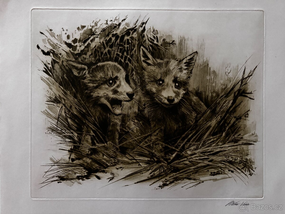 Ales Vaic - lesnicka tematiky - 3